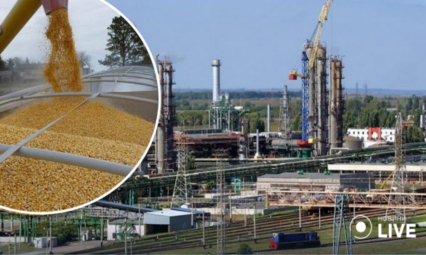 За четыре месяца действия "зерновой сделки" из одесских портов вышли суда с 12 млн тонн агропродукции