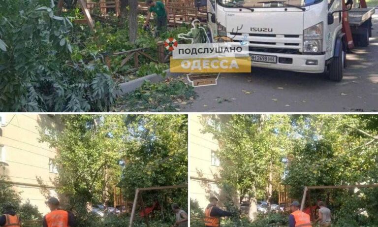 В Одессе уже падают деревья