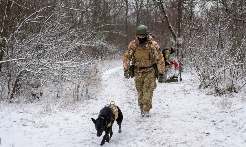 Служебная собака одесских пограничников помогла им найти два боеприпаса 80-летней давности