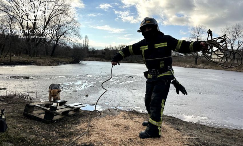 Пытался спасти собаку: в Одессе пенсионер провалился под лед