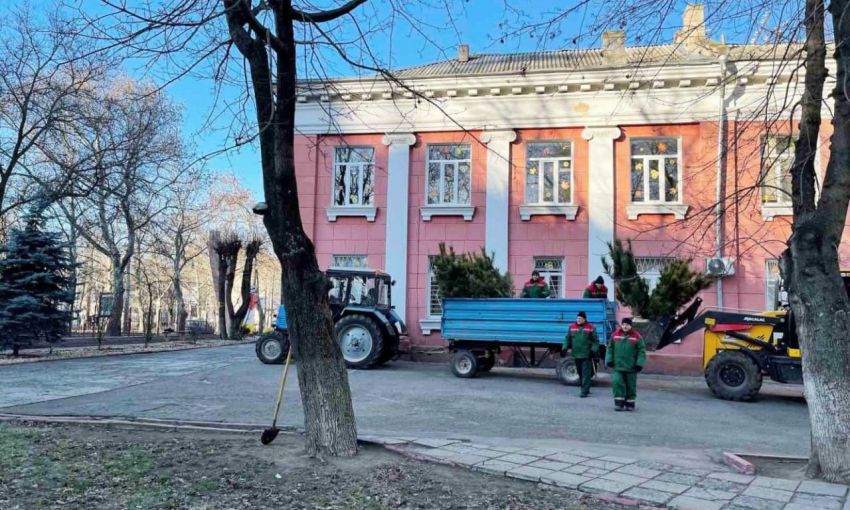 В Одессе этой зимой высадят 1600 сосен возле школ и детских садов