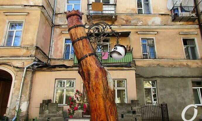 В Одессе сломанное дерево стало произведением искусства