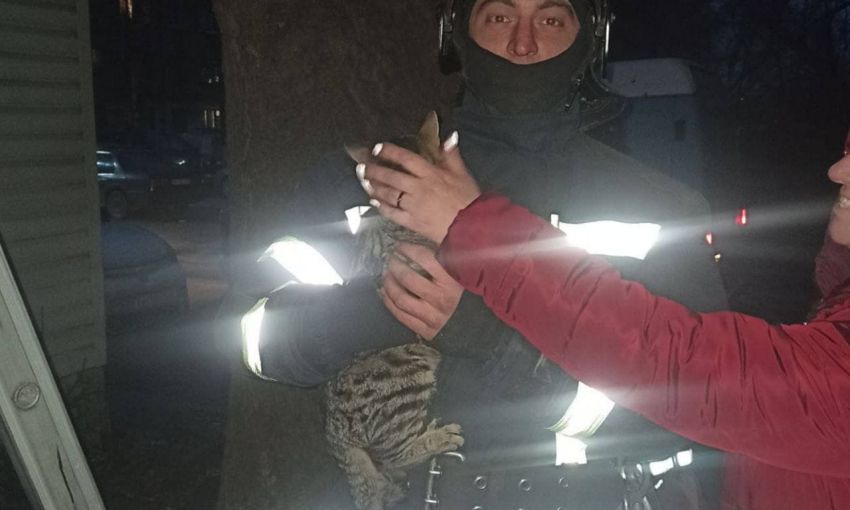 Одесские пожарные спасли двух котиков за один день