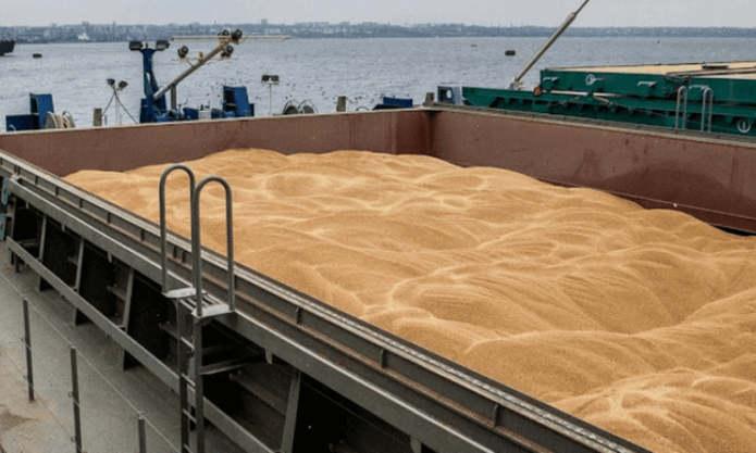 В Одесской области чиновники "заработали" на экспорте украинского зерна сотни миллионов гривен