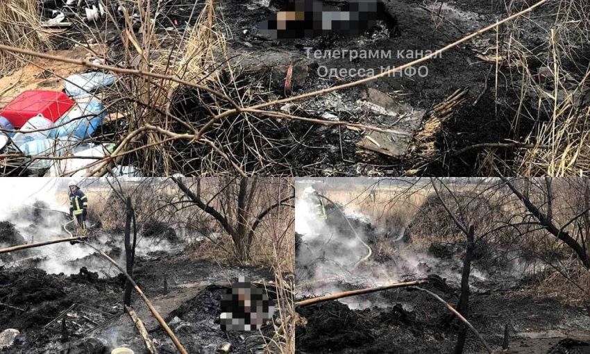 В Одесской области тушили шалаш в лесу - обнаружили бездыханного человека