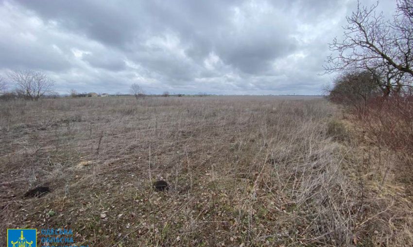 Планировали строить ветряки: на Одещине участок земли вернулся в собственность громады