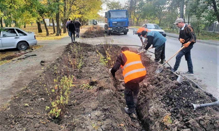 Одесские коммунальщики начали высадку деревьев и кустов у площади Толбухина