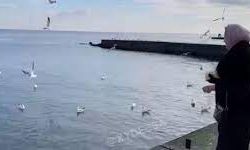 Курьез выходного дня - уронила мобилу в море. Видео