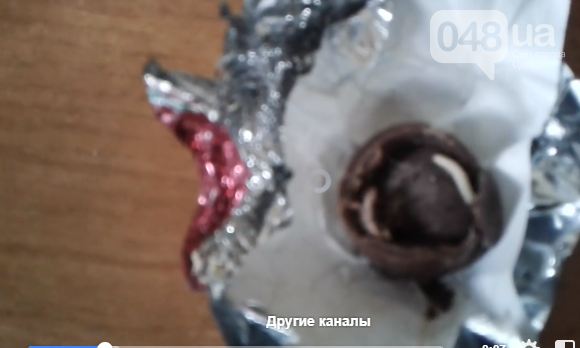 Ужасающий сюрприз: шоколадные конфеты с живой начинкой (фото 18+, не для слабонервных)