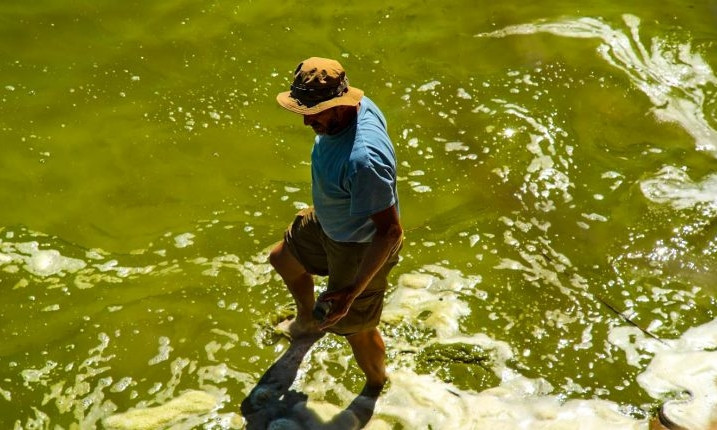 Озеро Сасык заполонили ядовитые водоросли 