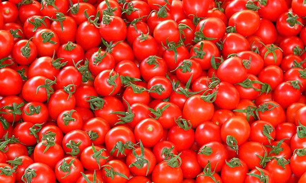 Моль не пройдёт: в Одесском порту «завернули» турецкие томаты
