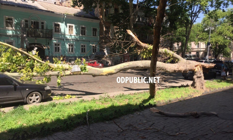 На Пушкинской упало дерево, перекрыло дорогу, повредило две машины и электропровода