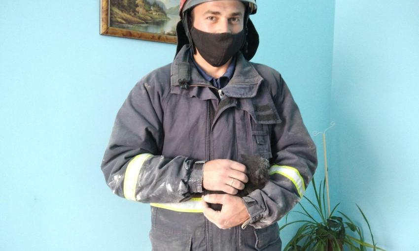 В Подольске спасатели вытащили котенка из вентиляционной шахты 