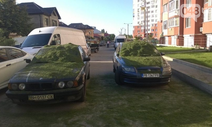 Фотофакт: в Одессе постригли газон прямо на машины