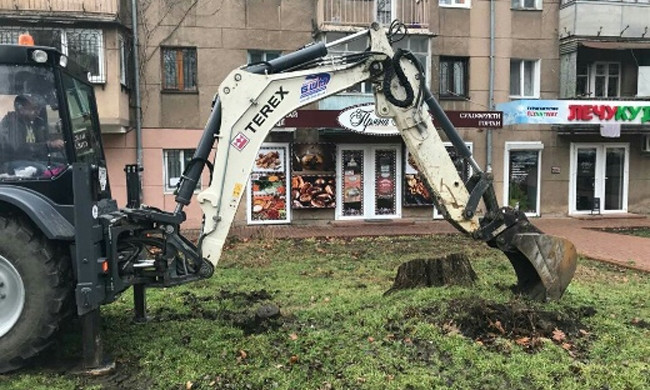 За неделю в Одессе высадили более 60-ти деревьев