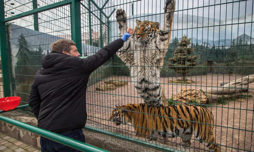 Одесский биопарк страдает от карантина: животных нечем кормить (ВИДЕО)