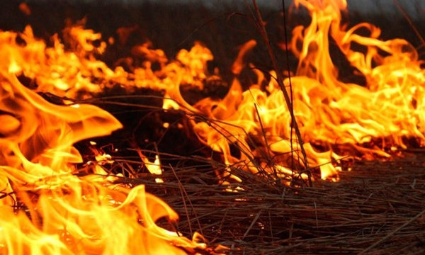 В Гандрабурах сгорело сенохранилище