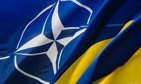 В Одесской области пройдут совместные учения Украины и НАТО "Нерушимая стойкость 2020"
