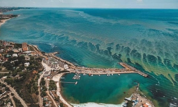 В сети появились фото цветущего моря, сделанные с высоты