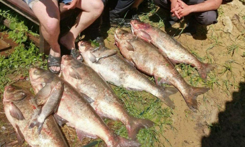 Рыба сама идет в руки в водоемах Балтского и Подольского районов Одесской области 
