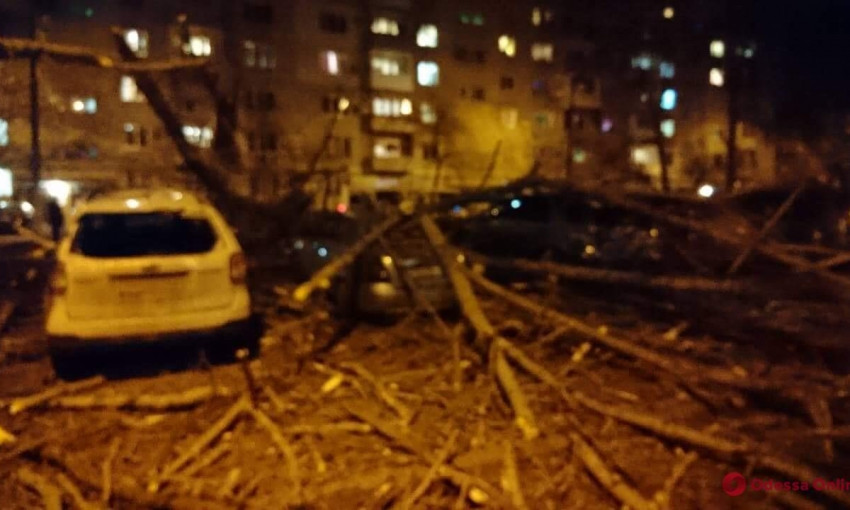 Рухнувшее на Таирова дерево повредило припаркованные автомобили