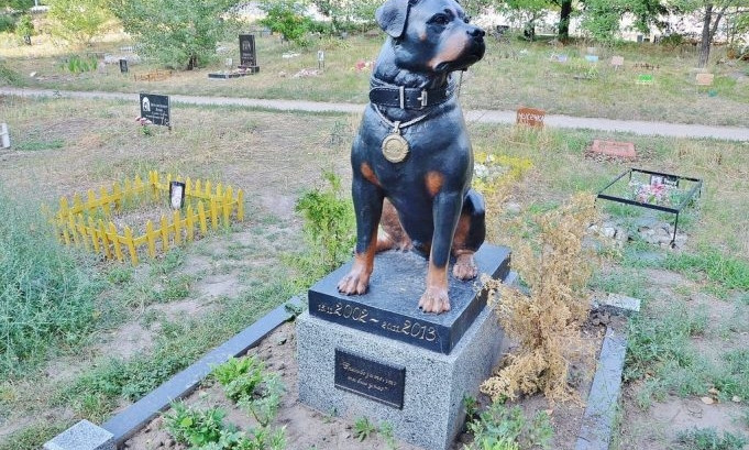 В Одессе появится крематорий для домашних животных