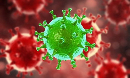 Обновились данные о заболеваемости коронавирусом 