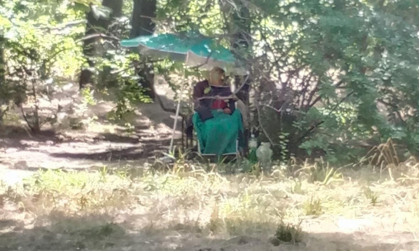 Ужасный поступок: одессит бросил свою мать на инвалидной коляске "жить" в парке
