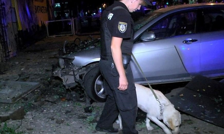 При помощи служебных собак одесские полицейские задержали 18 преступников