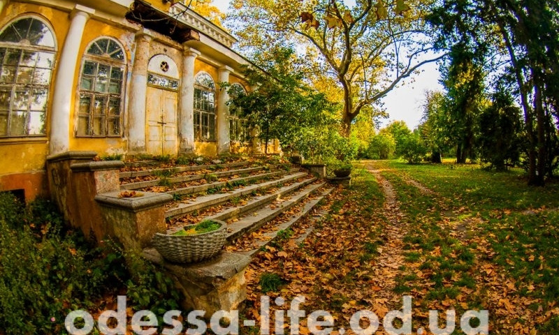 Осеннее очарование 150-летнего Одесского ботанического сада