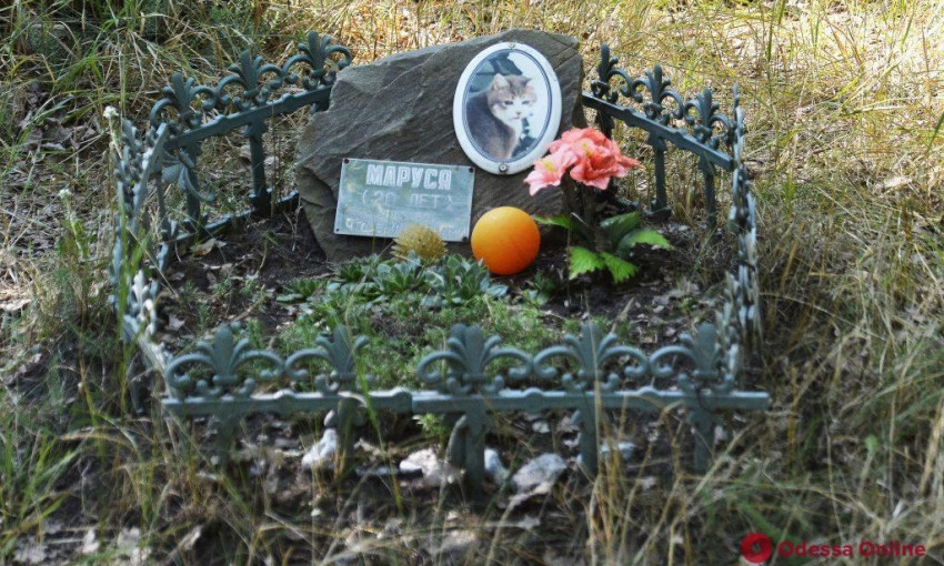 Одесское кладбище домашних животных (ФОТО)