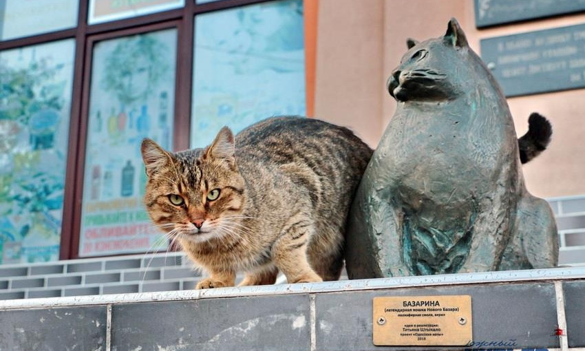 Место встречи изменить нельзя: коты собираются у скульптуры кошки Базариной