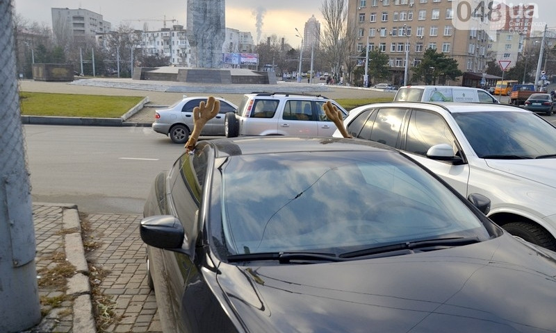 В Одессе появился автомобиль с красным носом и оленьими рогами