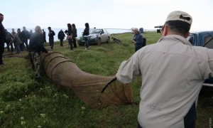На Тузловских лиманах браконьеры вновь напали на сотрудников заповедника