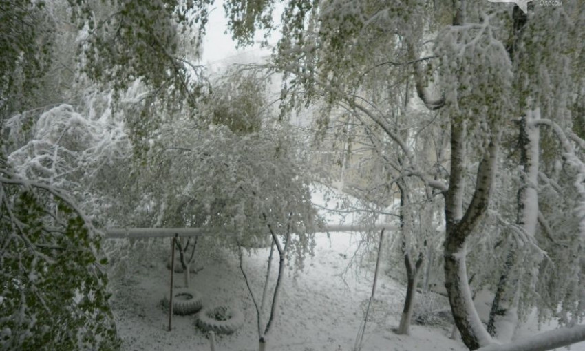 Шокирующие фото: аномальная погода в Одесской области