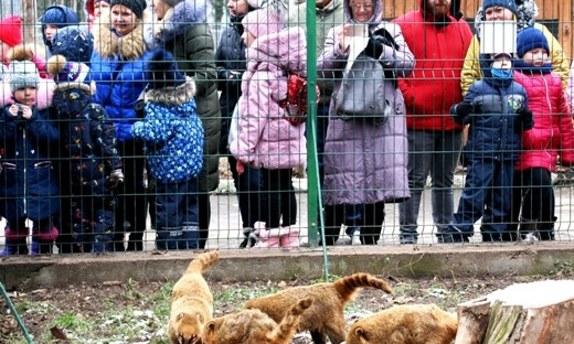 Как в Одесском зоопарке День Святого Николая отмечали