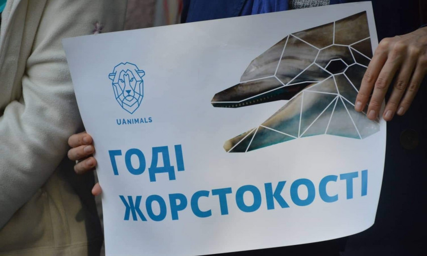 На Коблевской митинговали против использования животных в цирке