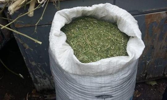 20 кг конопли обнаружили у жителя Одесской области (ФОТО)
