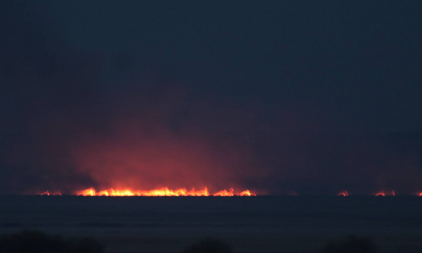 Масштабный пожар в Нижнеднестровском национальном природном парке
