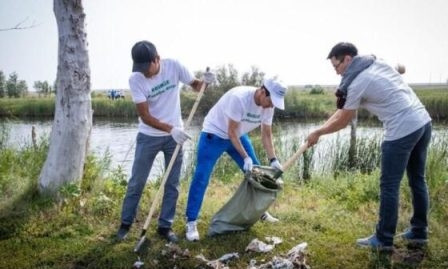 В Одессе площадки для крупногабаритного мусора решают проблему стихийных свалок 