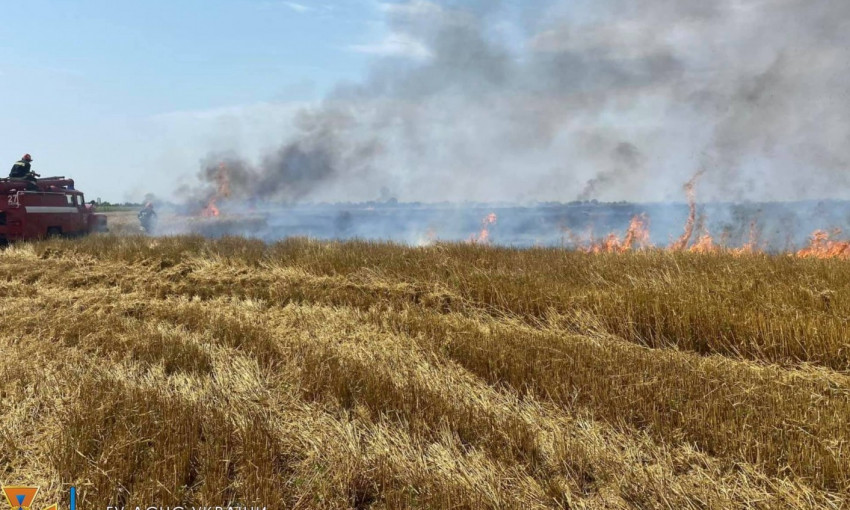 В Одесской области неизвестный поджег пшеничное поле 