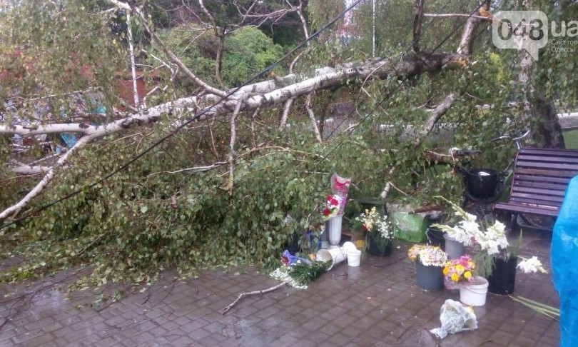 В Измаиле дерево рухнуло на цветочный рынок