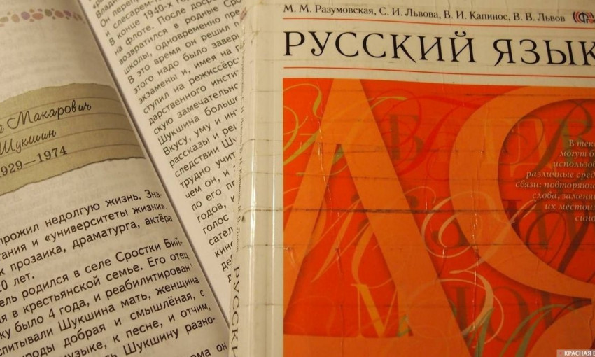 Родителей некоторых школ принуждают голосовать за изучение русского языка 