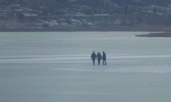Дети пошли смотреть лебедей и провалились под лед 