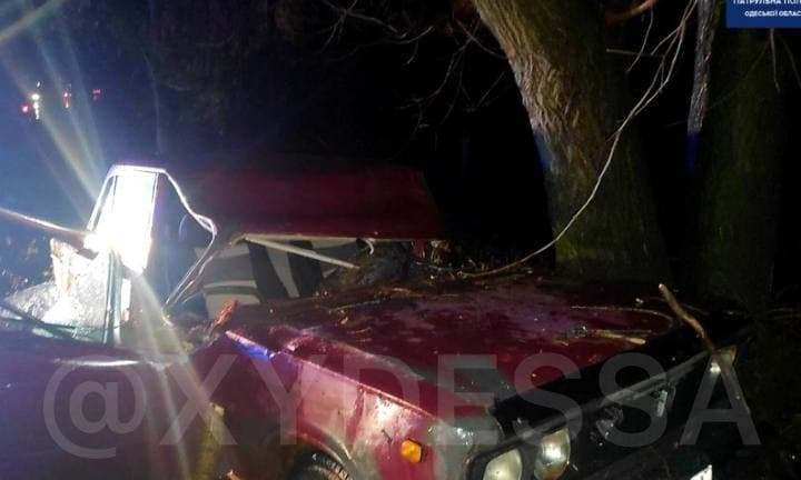 В Одессе дерево упало на едущий автомобиль 