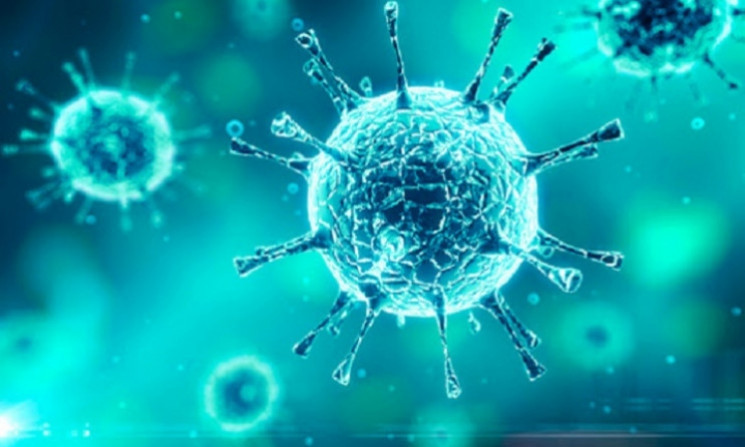 Новые данные о заболеваемости коронавирусом 