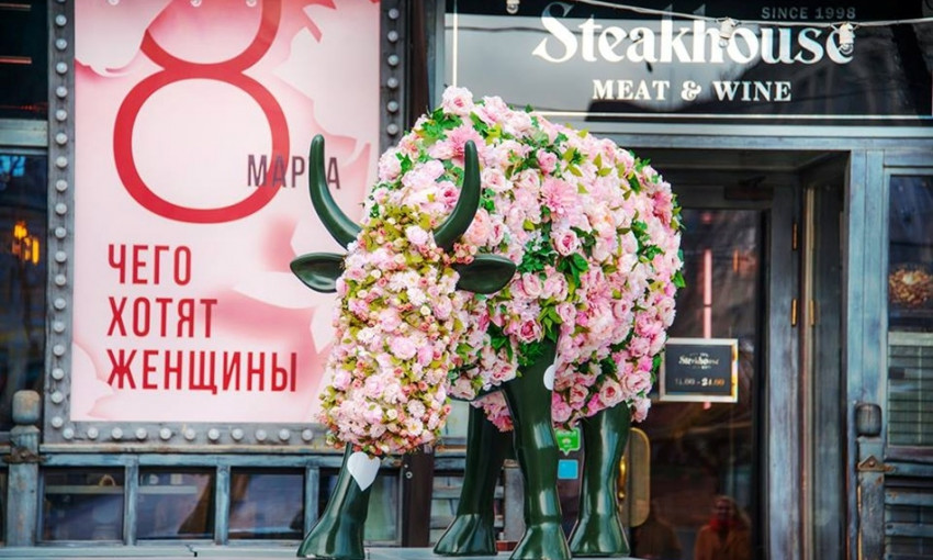 Одесская корова-фотомодель переоделась к весне