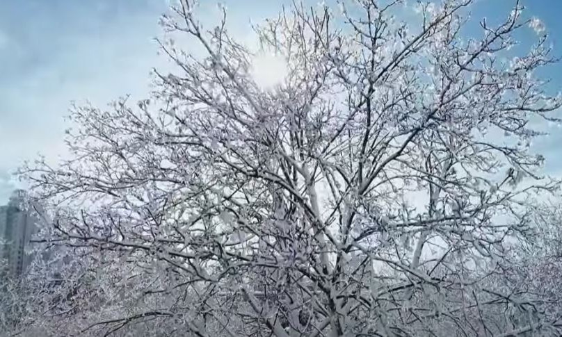 Погода превратила Одессу в настоящую зимнюю сказку, - видео 
