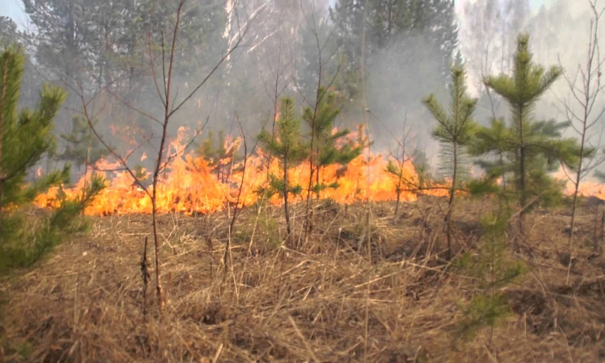 В Одесской области объявлен наивысший уровень пожарной опасности