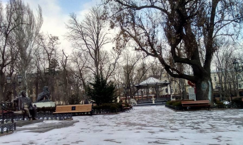 В Одессе зима наступила с опозданием (ФОТО)
